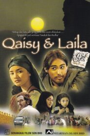 Qaisy Dan Laila 2005 one on netflix