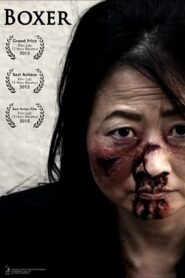 Boxer 2015 one on netflix