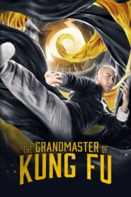 The Grandmaster of Kung Fu 2019 one on netflix