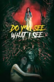 Do You See What I See 2024 one on netflix