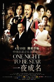 一夜成名 2012 one on netflix