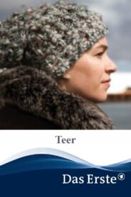 Teer 2013 one on netflix