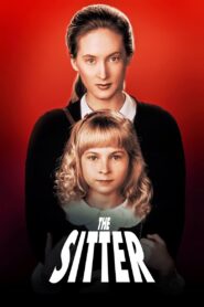 The Sitter 1991 one on netflix