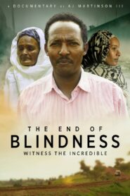 The End of Blindness 2021 one on netflix