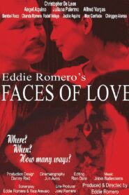Faces of Love 2007 one on netflix