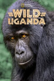 Wild Uganda 2018 one on netflix
