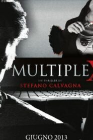 MultipleX 2013 one on netflix