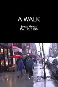 A Walk 1990 one on netflix