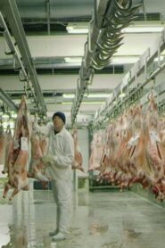 The Butcher’s Waltz 2014 one on netflix