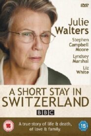 A Short Stay in Switzerland 2009 one on netflix
