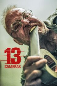 13 Cameras 2016 one on netflix