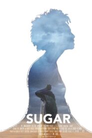 Sugar 2016 one on netflix