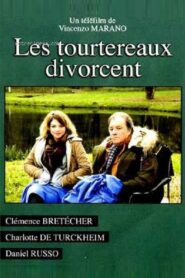Les tourtereaux divorcent 2014 one on netflix