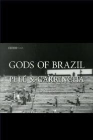 Gods of Brazil: Pelé & Garrincha 2002 one on netflix