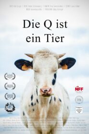 Die Q ist ein Tier 2024 one on netflix