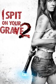 I Spit on Your Grave 2 2013 one on netflix