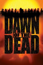 Dawn of the Dead 2004 one on netflix