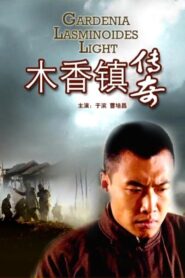 木香镇传奇 2009 one on netflix