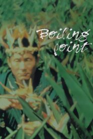 Boiling Point 1990 one on netflix