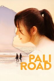 Pali Road 2016 one on netflix