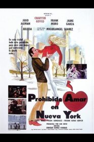 Prohibido amar en Nueva York 1984 one on netflix