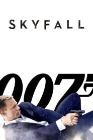 Skyfall 2012 one on netflix