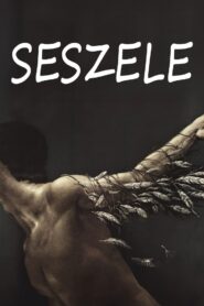 Seychelles 1991 one on netflix