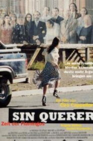 Sin querer 1997 one on netflix
