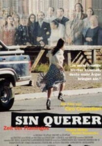 Sin querer 1997 one on netflix