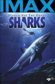 Search for the Great Sharks 1992 one on netflix