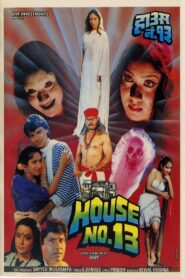 House No. 13 1991 one on netflix