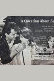 A Question About Sex 1990 one on netflix