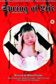 Spring of Life 2000 one on netflix