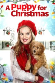 A Puppy for Christmas 2016 one on netflix