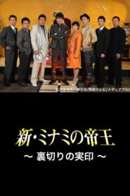 The King of Minami Returns: The Seal of Betrayal 2011 one on netflix