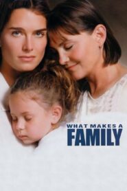 What Makes a Family 2001 one on netflix