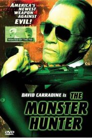 The Monster Hunter 1999 one on netflix