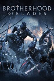 Brotherhood of Blades 2014 one on netflix