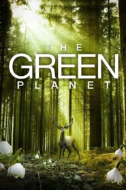 The Green Planet 2012 one on netflix