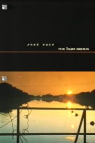 Pont Neuf 1997 one on netflix