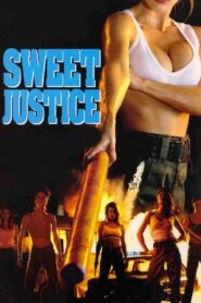 Sweet Justice 1993 one on netflix