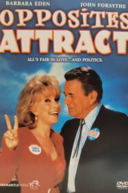 Opposites Attract 1990 one on netflix