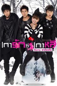 Sorry Saranghaeyo 2010 one on netflix