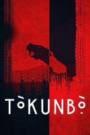 Tòkunbọ̀ 2024 one on netflix