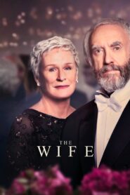 The Wife 2018 one on netflix