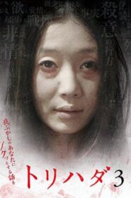 Torihada 3~ Yofukashi no anata ni zokutto suru hanashi wo 2008 one on netflix