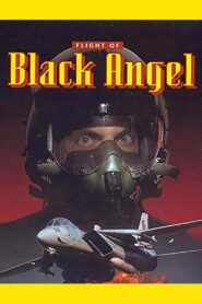 Flight of Black Angel 1991 one on netflix