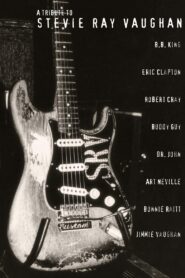 A Tribute to Stevie Ray Vaughan 1996 one on netflix