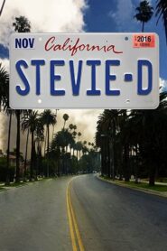 Stevie D 2016 one on netflix