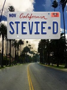 Stevie D 2016 one on netflix
